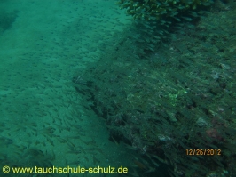 Thailand www.aqua-divers.de